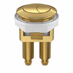 Botao-Deca-Duplo-Acionamento-Gold---Deca---SI.51.GL---Fundo-Branco-Produto-Principal-SKU-posicionada-na-diagonal-direita-ou-redondo-e-produto-fechado