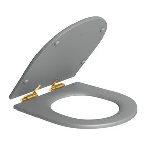 Assento-Deca-em-Poliester-Slow-Close-com-Microban-para-Bacias-Carrara-Duna-Level-Lk-Nuova-Cinza-Fosco-e-Gold---Deca---AP.237.GL.86---Fundo-Branco-Produto-Principal-SKU-algum-detalhe-em-evidencia-ou-produto-aberto-