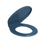 Assento-Sanitario-Plastico-com-Microban-para-Bacias-Izy-e-Ravena-Deca-Azul---Deca---AP.01.51---Fundo-Branco-Produto-Principal-SKU-algum-detalhe-em-evidencia-ou-produto-aberto-