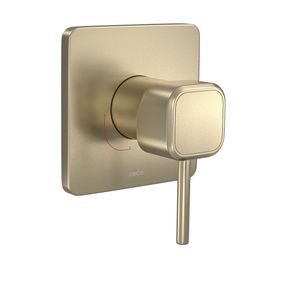 Acabamento-para-Monocomando-Deca-de-Chuveiro-Quadrado-You-Summer-Gold---Deca---4993.SM105.CHU.MT---Fundo-Branco-Produto-Principal-SKU-posicionada-na-diagonal-direita-ou-redondo-e-produto-fechado