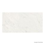 Porcelanato-Lumina-Natural-Carrara-60x120cm-Ret---Portinari---6060590A---Fundo-Branco-Produto-Principal-SKU-Quadrado-ou-Horizontal