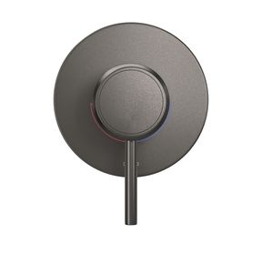 Acabamento-para-Monocomando-Deca-de-Chuveiro-Redondo-You-Dark-Antracite---Deca---4993.GF104.CHU.MT---Fundo-Branco-Produto-Principal-SKU-posicionada-de-frete-e-reto