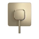 Acabamento-para-Monocomando-Deca-de-Chuveiro-Quadrado-You-Summer-Gold---Deca---4993.SM105.CHU.MT---Fundo-Branco-Produto-Principal-SKU-posicionada-de-frete-e-reto