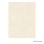 Porcelanato-Tivoli-Natural-Soft-Beige-90x90cm-Ret---Portinari---6061842A---Fundo-Branco-Produto-com-item-complementar-Quadrado-ou-Horizontal