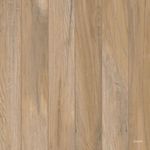 Porcelanato-Alameda-Hard-Deck-Beige-60x60cm-Bold---Portinari---6059220A---Ambientada-Com-Zoom-no-produto-