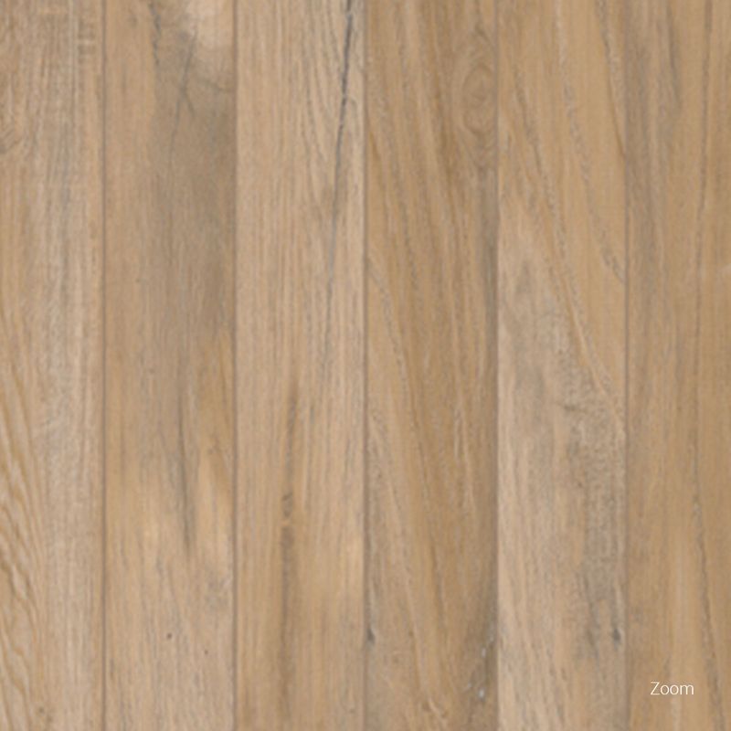 Porcelanato-Alameda-Hard-Deck-Beige-60x60cm-Bold---Portinari---6059220A---Ambientada-Com-Zoom-no-produto-
