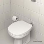 Assento-Deca-em-Termofixo-Slow-Close-e-Easy-Clean-para-Bacias-Aspen-Fast-Branco---Deca---AP.766.17---Ambientada-Com-Zoom-no-produto-pode-conter-2-ou-mais-produtos-diretamente-relacionados-e-acessorios-de-banheiros.