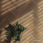 Porcelanato-Violin-Matte-Decor-Brown-30x120cm-Ret---Portinari---6062253A---Ambientada-Ampla-