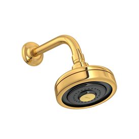 Chuveiro com Tubo de Parede Acqua Plus Standart Gold