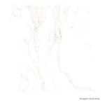 Porcelanato-Carrara-Polido-White-80x80cm-Ret---Ceusa---5008932A---Fundo-Branco-Produto-Principal-SKU-Quadrado-ou-Horizontal