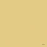 Porcelanato-Colores-Natural-Yellow-10x40cm-Bold---Portinari---6062482A---Ambientada-Com-Zoom-no-produto-