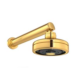 Chuveiro com Tubo Reto de Parede Acqua Plus Gold