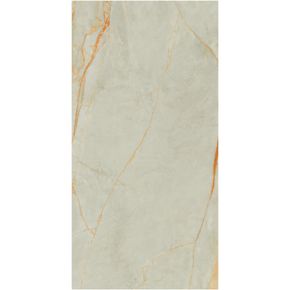 Porcelanato-Golden-Fantasy-SGN-Natural---60x120cm-Retificado---Ceusa---5062735A---Fundo-Branco-Produto-Principal-SKU-