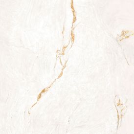 Porcelanato Paraná Gold Wh Natural - 120x120cm Retificado