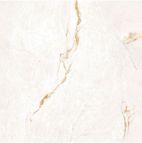 Porcelanato-Parana-Gold-WH-Natural---120x120cm-Retificado---Portinari---6062934A---Fundo-Branco-Produto-Principal-SKU-posicionada-na-diagonal-direita-ou-redondo-e-produto-fechado
