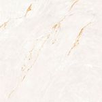 Porcelanato-Parana-Gold-WH-Natural---120x120cm-Retificado---Portinari---6062934A---Fundo-Branco-Produto-Principal-SKU-posicionada-de-frete-e-reto