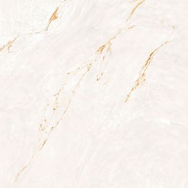Porcelanato Paraná Gold Wh Natural - 120x120cm Retificado