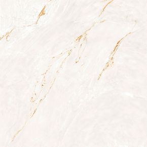 Porcelanato-Parana-Gold-WH-Natural---120x120cm-Retificado---Portinari---6062934A---Fundo-Branco-Produto-Principal-SKU-posicionada-de-frete-e-reto