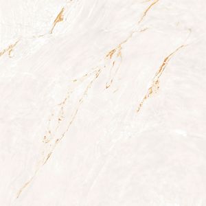 Porcelanato Paraná Gold Wh Natural - 120x120cm Retificado