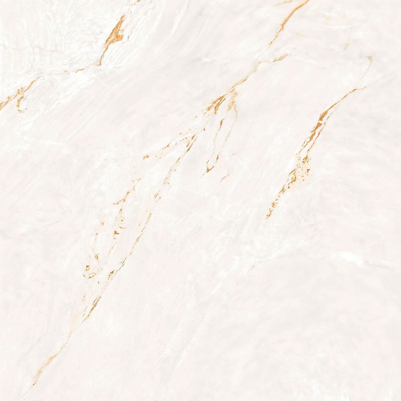 Porcelanato-Parana-Gold-WH-Natural---120x120cm-Retificado---Portinari---6062934A---Fundo-Branco-Produto-Principal-SKU-posicionada-de-frete-e-reto