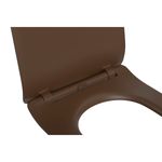 Assento-em-Termofixo-Deca-com-Slow-Close-e-Easy-Clean-para-Bacias-LK-Carrara-Nuova-Marrom-Fosco---Deca---AP.2362.22---Fundo-Branco-Produto-Principal-SKU-vista-de-cima