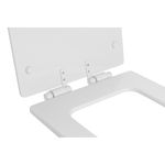 Assento-Deca-em-Poliester-Slow-Close-Monocromatico-para-Bacias-Living-Branco---Deca---AP.347.BR.17---Fundo-Branco-Produto-Principal-SKU-algum-detalhe-em-evidencia-ou-produto-aberto-