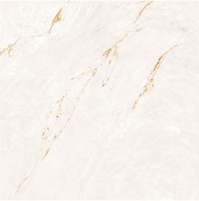 porcelanato-parana-gold-wh-polido-120x120cm-retificado-portinari-6062935a-v1c