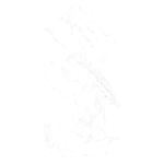 Porcelanato-Carrara-Wh-Polido---60x120cm-Retificado---Ceusa---5008768A---Fundo-Branco-Produto-com-item-complementar-Quadrado-ou-Horizontal