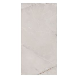 Porcelanato Timeless Sgr Polido - 60x120cm Retificado